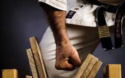 Cho’s Martial Arts Hosting GAB Fundraiser